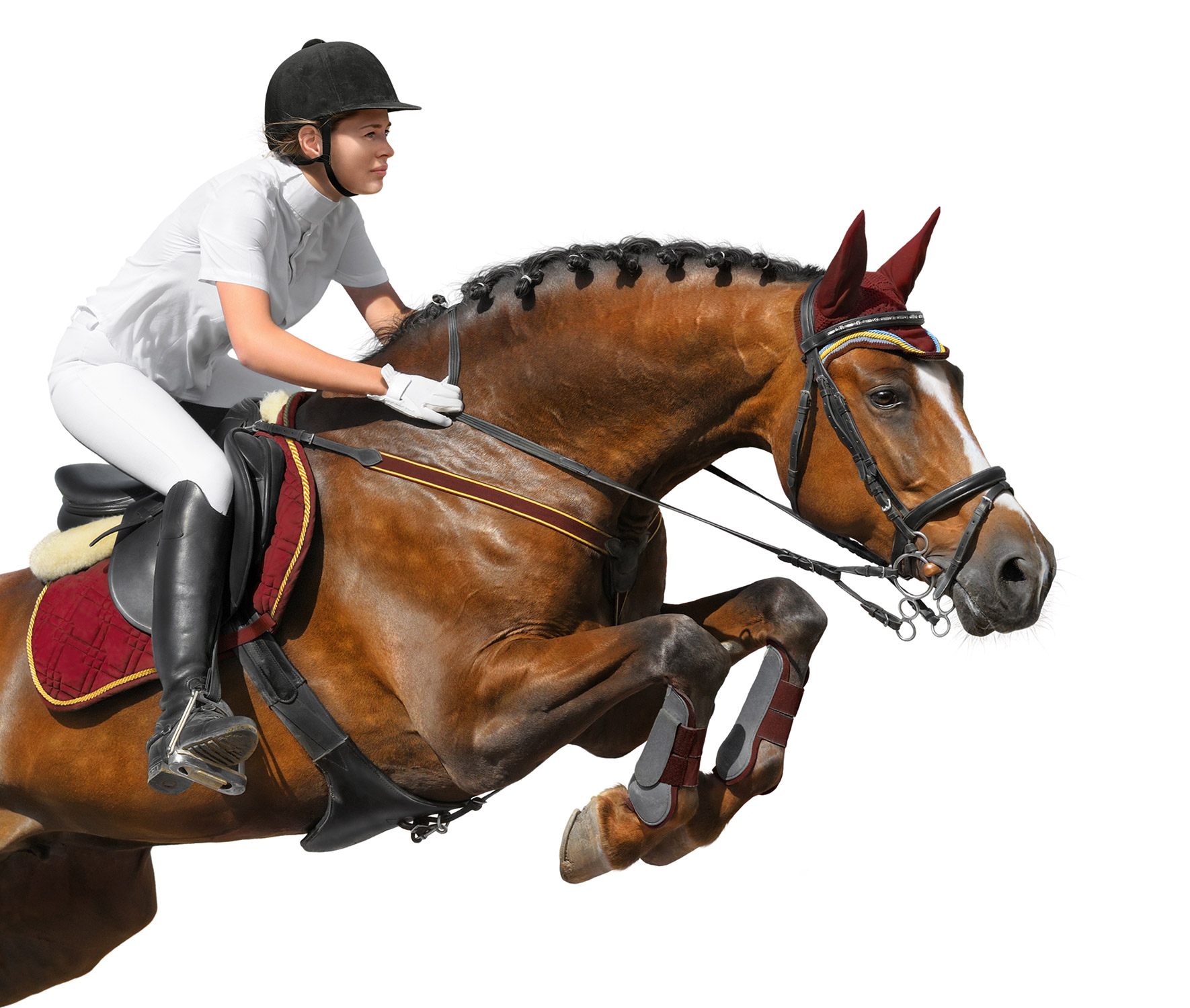 Individual Dressage Championships