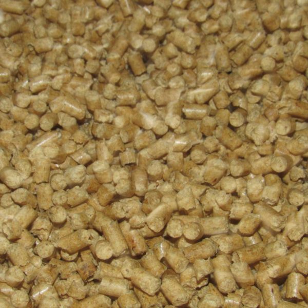 IMG_0317-min-600x600